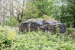 Thornes Quarry drumhouse, Brynawel, May 2014
