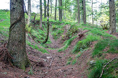 Thornes Quarry middle workings, Brynawel, May 2014