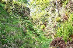 Thornes Quarry old workings, Brynawel, May 2014