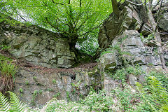 Thornes Quarry old workings, Brynawel, May 2014