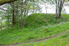 Thornes Quarry drumhouse tip, Brynawel, May 2014
