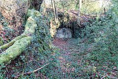Cincoed Lower level, Cwm Philkins, Blackwood, January 2020
