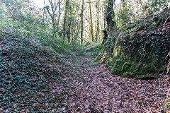 Cincoed Lower level, Cwm Philkins, Blackwood, January 2020
