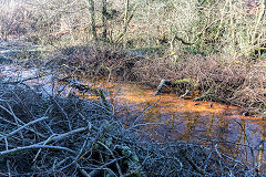 Cincoed Upper level, Cwm Philkins, Blackwood, January 2020