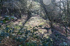 Cincoed Upper level tramway, Cwm Philkins, Blackwood, January 2020