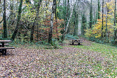 Nine Mile Point Colliery branch from the LNWR junction, November 2015