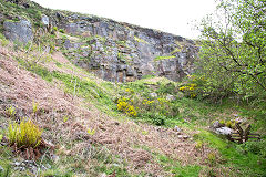 
Nine Mile Point Colliery quarry, May 2014