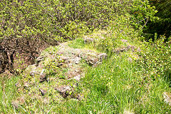 
Nine Mile Point Colliery quarry drumhouse, May 2014