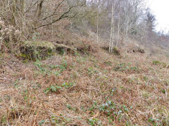 The derelict Northern coke ovens, Hollybush, March 2013