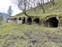 The southern coke ovens, Hollybush, March 2013