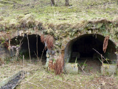 The southern coke ovens, Hollybush, March 2013