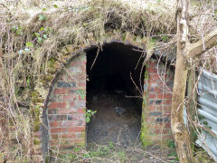 The southern coke ovens, Hollybush, March 2013
