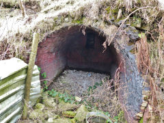 The southern coke ovens, Hollybush, March 2013