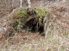 The derelict Northern coke ovens, Hollybush, March 2013