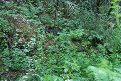 
New Hollybush Colliery South level, June 2011