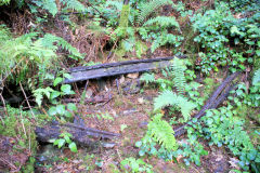 
New Hollybush Colliery South level, June 2011