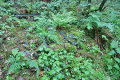 New Hollybush Colliery South level, June 2011