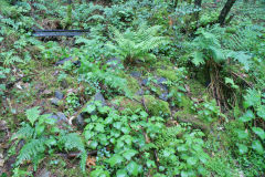 
New Hollybush Colliery South level, June 2011