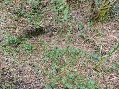 
Hollybush Old Colliery, site of shaft, March 2013