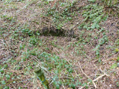 Hollybush Old Colliery, site of shaft, March 2013