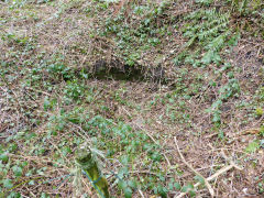 
Hollybush Old Colliery, site of shaft, March 2013