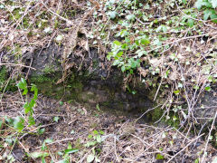 Hollybush Old Colliery, site of shaft, March 2013