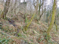 Hollybush Old Colliery tips, March 2013