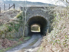 
Pochin Colliery LNWR bridge, March 2012