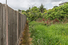 
The leat from the weir to the waterwheel on the right at 'Feeder Bank', June 2019