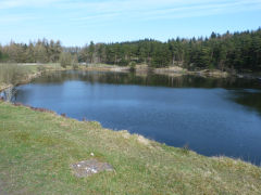 St James reservoir, Peacehaven, Tredegar, March 2012