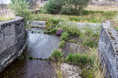 Scotch Peter's Reservoir, Tredegar, August 2019