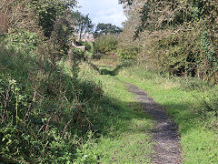 
'Mountain Pit exchange sidings with the Tredegar Tramroad, October 2023