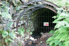 NW level, Troedrhiwgwair Woods, June 2011
