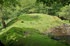 NW level tips, Troedrhiwgwair Woods, June 2011