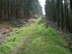 Tramway to tipping dock, Troedrhiwgwair Colliery, March 2012