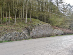 Troedrhiwgwair Colliery, tipping dock, March 201