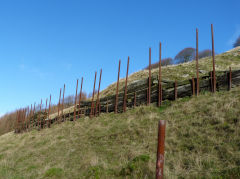 Troedrhiwgwair buttress holding back the mountainside, November 2011