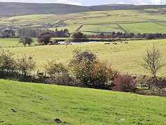 Union Ironworks feeder pond near Bryn-brith, November 2023