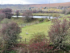 
Union Ironworks feeder pond near Bryn-brith, November 2023