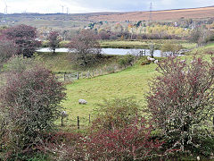 Union Ironworks feeder pond near Bryn-brith, November 2023