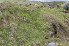 Engine Pond leat above Trefil Tramroad, Cwm Milgatw, June 2019