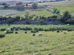 The original Tredegar Tramroad, July 2021