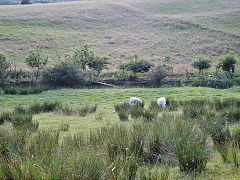 The original Tredegar Tramroad, July 2021