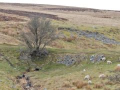 The Western culvert under the Trefil Tramroad around Cwm Milgatw, April 2013
