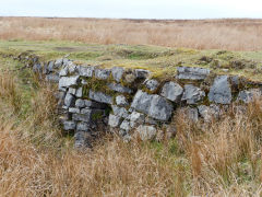 Trefil Tramroad at the culvert loop, April 2013