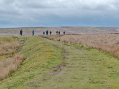 Trefil Tramroad at the culvert loop, April 2013