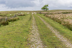 The Trefil Railway trackbed towards Trefil, June 2019