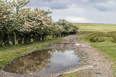 The Trefil Railway trackbed towards Trefil, June 2019