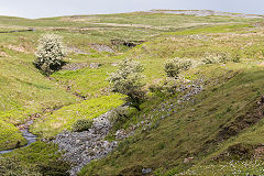 The Trefil Tramroad and Engine Pond at the head of Cwm Milgatw, June 2019