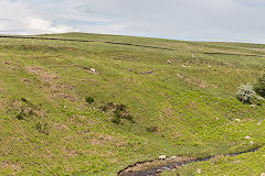 
The Western side of the Trefil Tramroad around Cwm Milgatw, June 2019